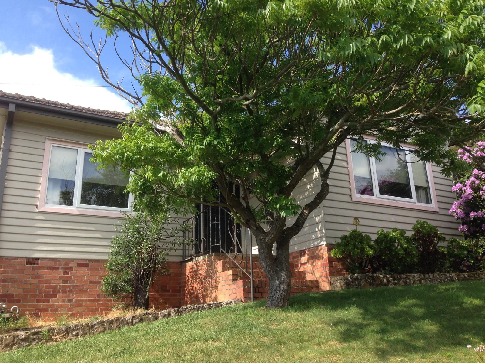 Double glazed windows on a weatherboard home